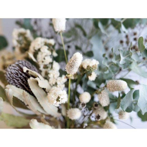 Eucalyptus Arrangement Detail I Gold Ornate Wood Framed Art Print with Double Matting by Catterall, Elise