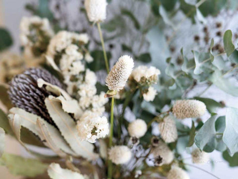Eucalyptus Arrangement Detail I White Modern Wood Framed Art Print with Double Matting by Catterall, Elise