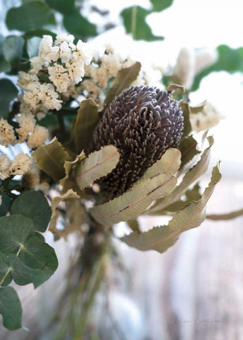 Eucalyptus Arrangement Detail II White Modern Wood Framed Art Print with Double Matting by Catterall, Elise