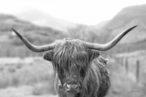 Scottish Highland Cattle III Neutral Crop Black Ornate Wood Framed Art Print with Double Matting by Majchrowicz, Alan