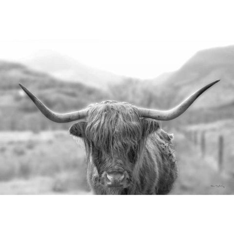 Scottish Highland Cattle III Neutral Crop Gold Ornate Wood Framed Art Print with Double Matting by Majchrowicz, Alan