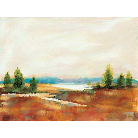 Amity Pond Gold Ornate Wood Framed Art Print with Double Matting by Schlabach, Sue