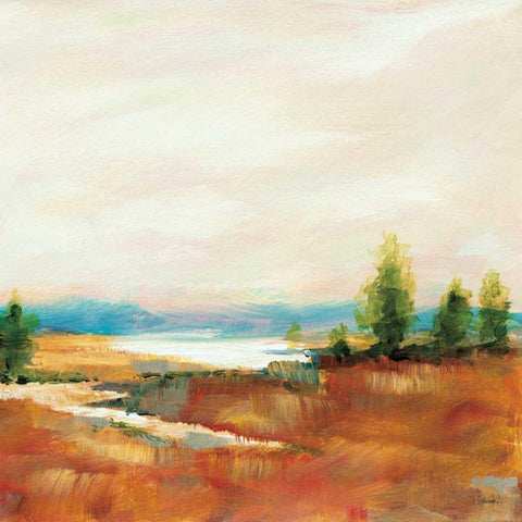Amity Pond Sq Gold Ornate Wood Framed Art Print with Double Matting by Schlabach, Sue