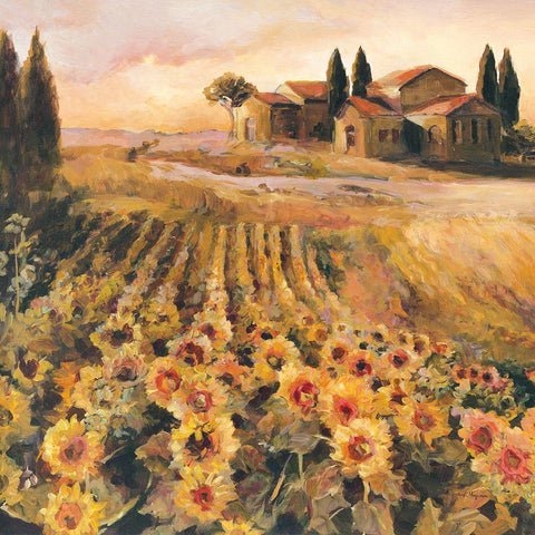 Sunflowers in Italy White Modern Wood Framed Art Print with Double Matting by Hageman, Marilyn