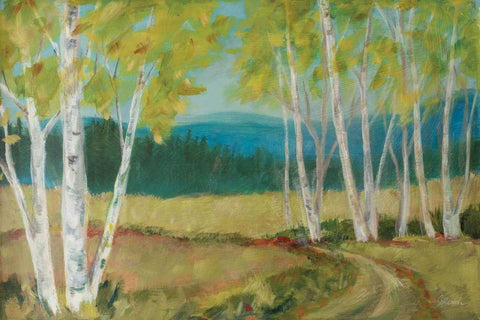 Birch Road White Modern Wood Framed Art Print with Double Matting by Schlabach, Sue