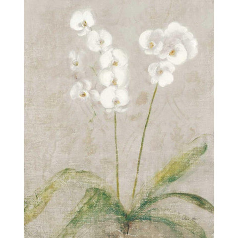Orchid Light Gold Ornate Wood Framed Art Print with Double Matting by Blum, Cheri