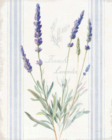 Floursack Lavender I White Modern Wood Framed Art Print with Double Matting by Nai, Danhui