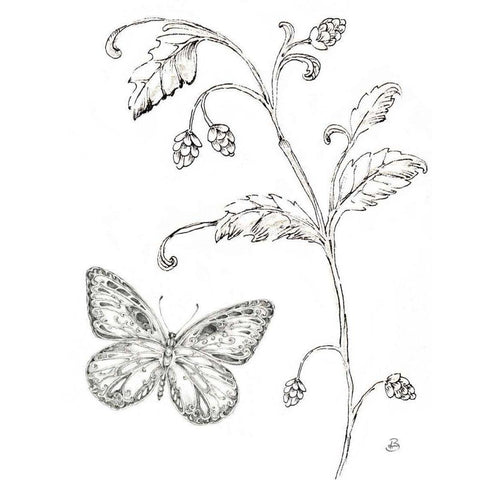 Outdoor Beauties Butterfly II Gold Ornate Wood Framed Art Print with Double Matting by Brissonnet, Daphne