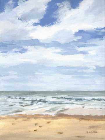 Walk on the Beach II Black Ornate Wood Framed Art Print with Double Matting by Munger, Pamela