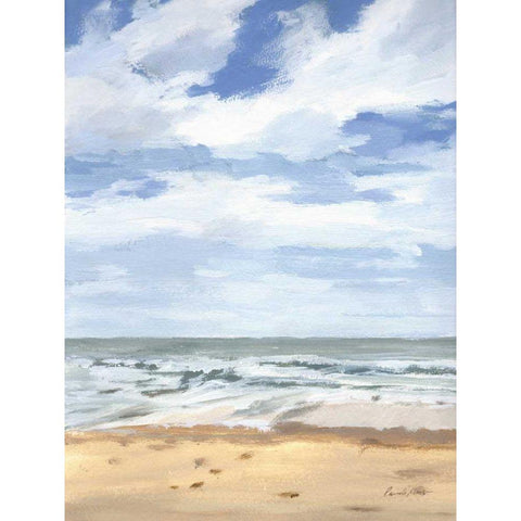 Walk on the Beach II Black Modern Wood Framed Art Print by Munger, Pamela