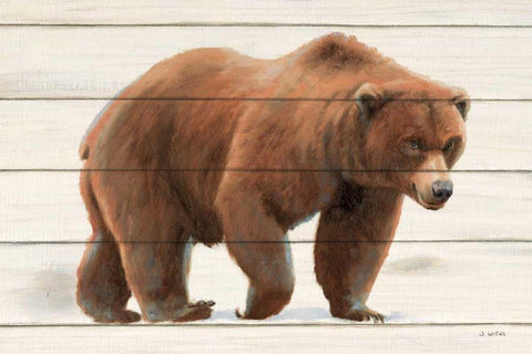 Northern Wild I on Wood White Modern Wood Framed Art Print with Double Matting by Wiens, James
