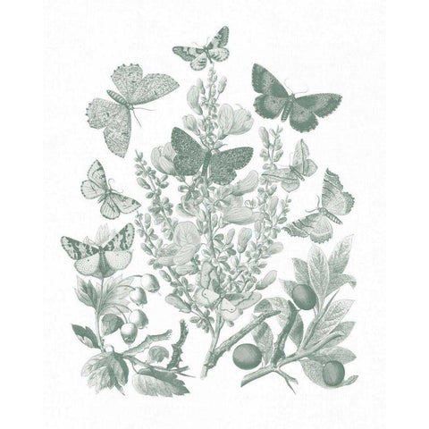 Butterfly Bouquet II Sage Gold Ornate Wood Framed Art Print with Double Matting by Wild Apple Portfolio