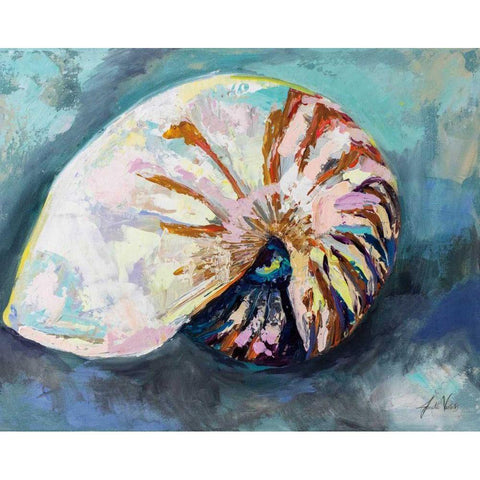 Nautilus Shell Gold Ornate Wood Framed Art Print with Double Matting by Vertentes, Jeanette