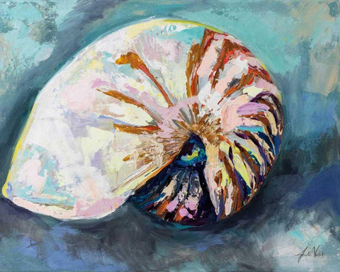 Nautilus Shell White Modern Wood Framed Art Print with Double Matting by Vertentes, Jeanette