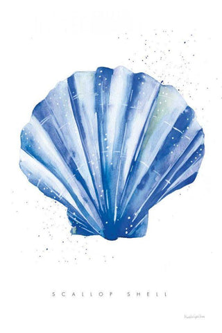 Scallop Shell White Modern Wood Framed Art Print with Double Matting by Charro, Mercedes Lopez