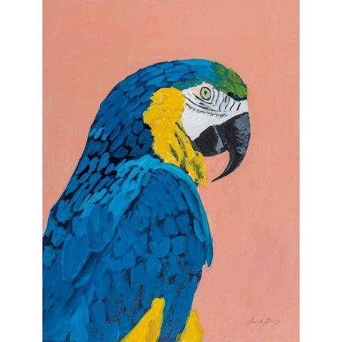 Blue and Gold Macaw Gold Ornate Wood Framed Art Print with Double Matting by Munger, Pamela