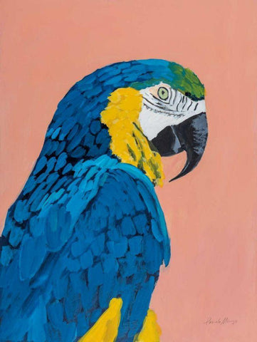 Blue and Gold Macaw Black Ornate Wood Framed Art Print with Double Matting by Munger, Pamela