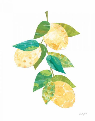 Summer Lemons II White Modern Wood Framed Art Print with Double Matting by Prahl, Courtney