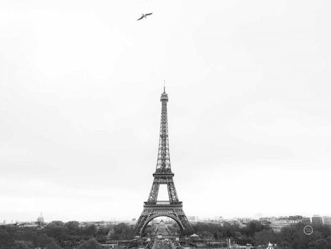 A Birds View of Paris Black Ornate Wood Framed Art Print with Double Matting by Larson, Nathan