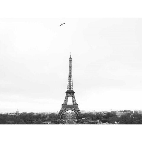 A Birds View of Paris Gold Ornate Wood Framed Art Print with Double Matting by Larson, Nathan