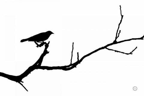 Bird Silhouette White Modern Wood Framed Art Print with Double Matting by Larson, Nathan