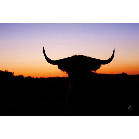 Bull Set Black Modern Wood Framed Art Print by Larson, Nathan