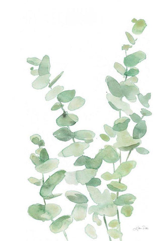 Eucalyptus II White Modern Wood Framed Art Print with Double Matting by Pete, Katrina