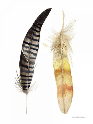 Natural Feathers III White Modern Wood Framed Art Print with Double Matting by McKenna, Kathleen Parr