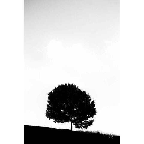 Lone Tree Hill Black Modern Wood Framed Art Print by Larson, Nathan