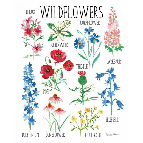 Nature Chart I White Modern Wood Framed Art Print by Zaman, Farida