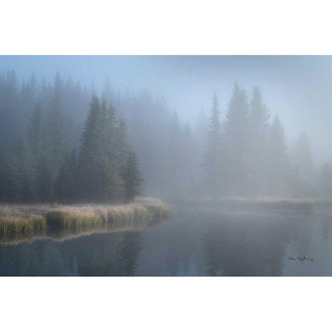 Grand Teton Lake Fog Black Modern Wood Framed Art Print by Majchrowicz, Alan