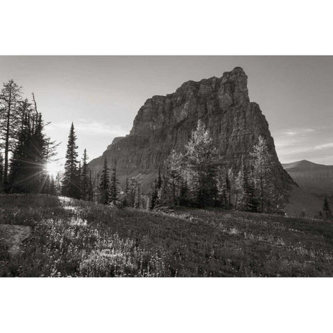 Boulder Pass Glacier National Park BW White Modern Wood Framed Art Print by Majchrowicz, Alan