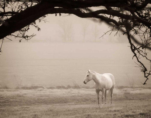 Hazy Horse II Black Ornate Wood Framed Art Print with Double Matting by Van Swearingen, Debra