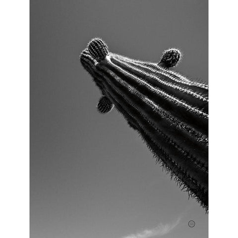 King II White Modern Wood Framed Art Print by Larson, Nathan