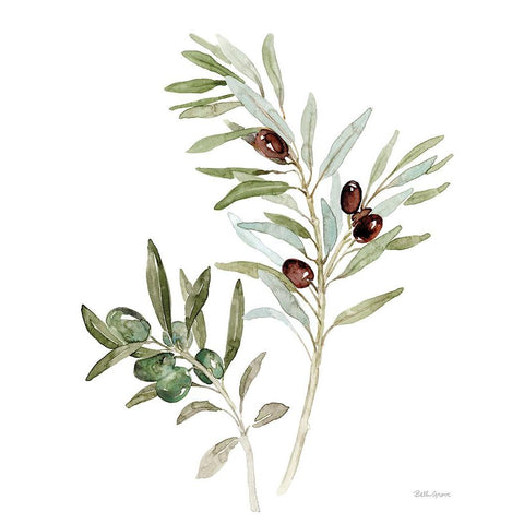 Mediterranean Motif IX on White White Modern Wood Framed Art Print by Grove, Beth
