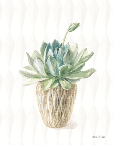 Desert Greenhouse XV White Modern Wood Framed Art Print with Double Matting by Nai, Danhui