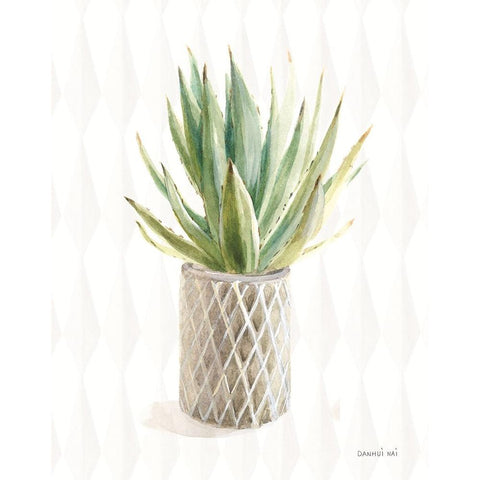 Desert Greenhouse XIX White Modern Wood Framed Art Print by Nai, Danhui