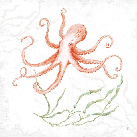 Delicate Sea V Red White Modern Wood Framed Art Print with Double Matting by Brissonnet, Daphne