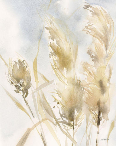 Pampas Grasses White Modern Wood Framed Art Print with Double Matting by Pete, Katrina