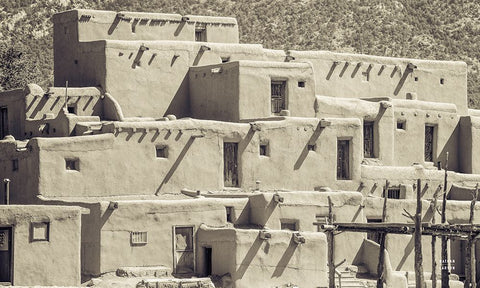 Summer Shadows Black Modern Wood Framed Art Print by Larson, Nathan