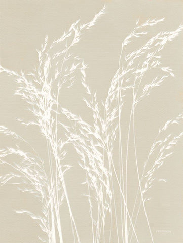 Ornamental Grass V Neutral Black Modern Wood Framed Art Print by Ferguson, Kathy