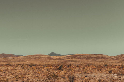 Welcome II White Modern Wood Framed Art Print with Double Matting by Larson, Nathan