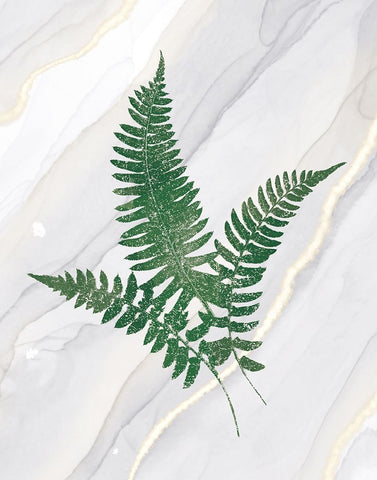 Agate Ferns X Black Ornate Wood Framed Art Print with Double Matting by Wild Apple Portfolio