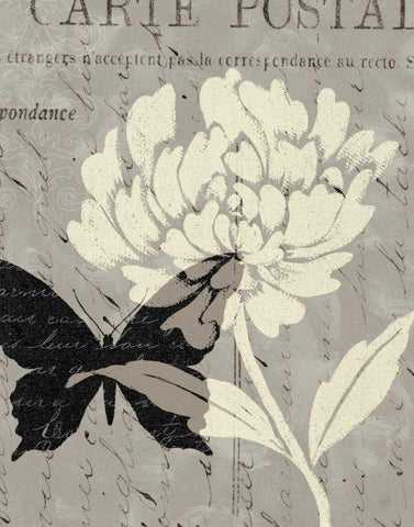 Natural Prints I White Modern Wood Framed Art Print with Double Matting by Brissonnet, Daphne