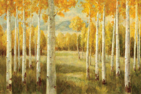 Aspens White Modern Wood Framed Art Print with Double Matting by Nai, Danhui