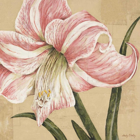 Blooming Wonder II White Modern Wood Framed Art Print by Shelby, Judy