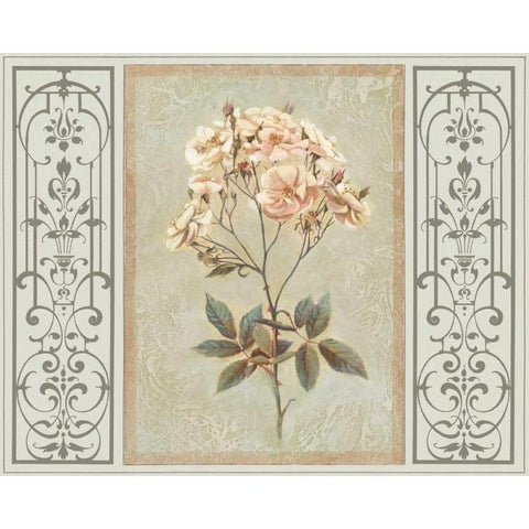 Heritage Roses I White Modern Wood Framed Art Print by Chilton, Sarah E.