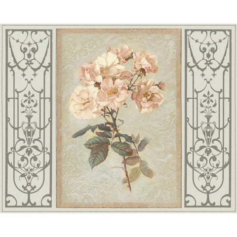 Heritage Roses II White Modern Wood Framed Art Print by Chilton, Sarah E.