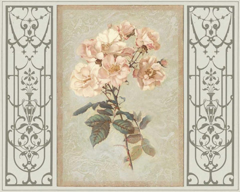 Heritage Roses II White Modern Wood Framed Art Print with Double Matting by Chilton, Sarah E.