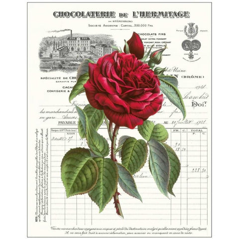 Heirloom Roses A White Modern Wood Framed Art Print by Chilton, Sarah E
